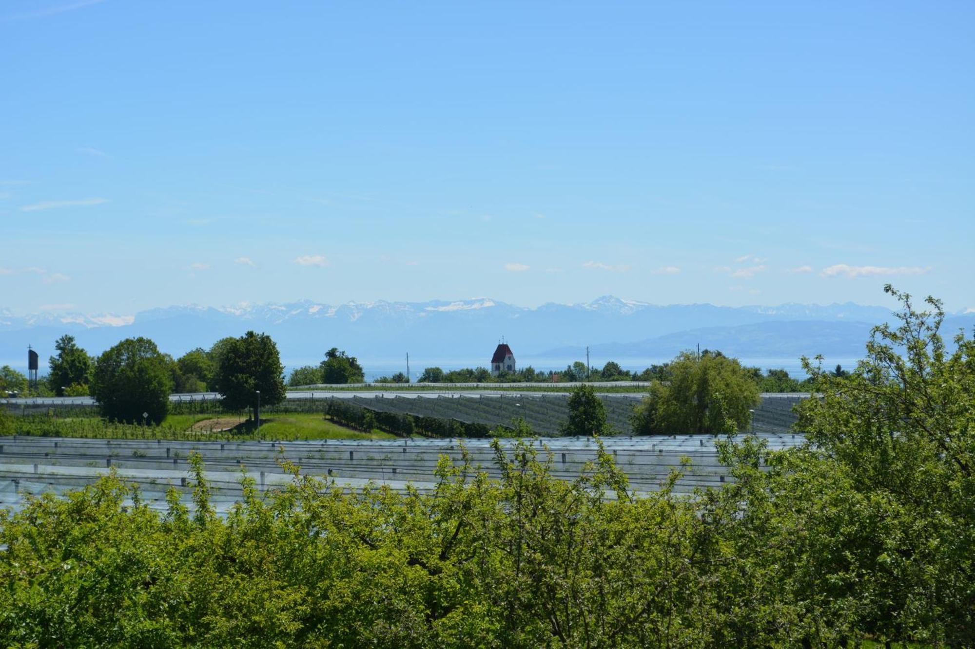Ferienwohnung Plocher Immenstaad am Bodensee Dış mekan fotoğraf