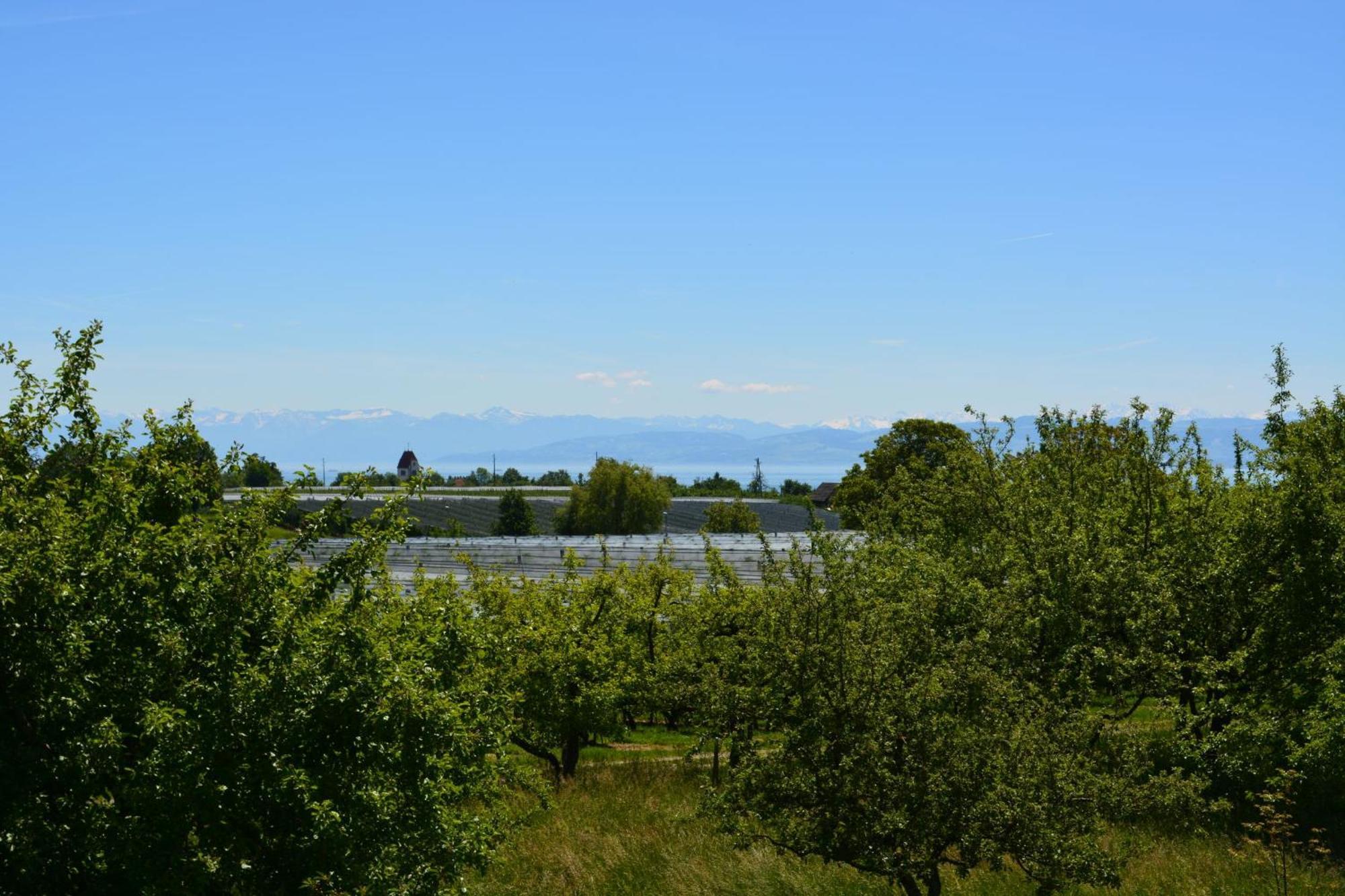Ferienwohnung Plocher Immenstaad am Bodensee Dış mekan fotoğraf